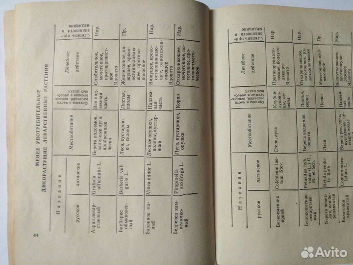 Дикорастущие лекарственные растения. Флеров