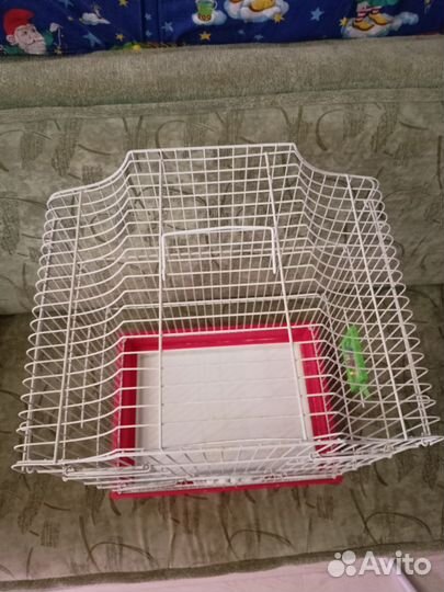 Птичья клетка