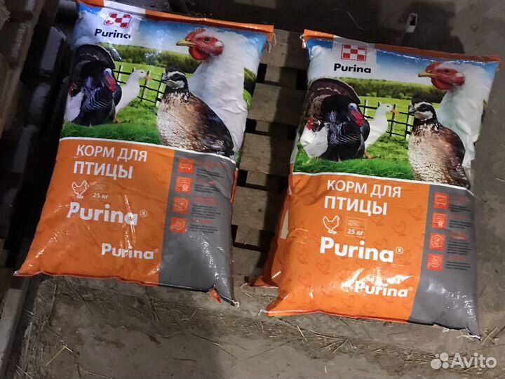 Комбикорм,зерно доставка best,purina,росток,маркс