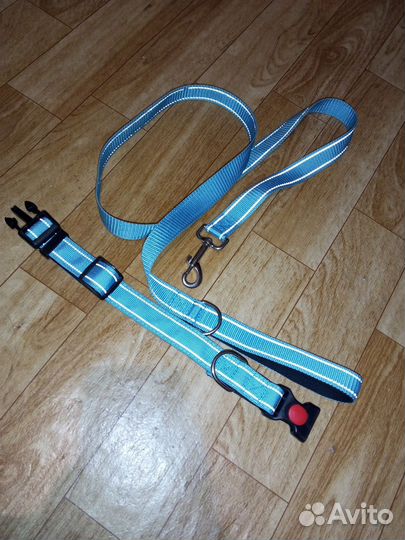 Ошейник и поводок