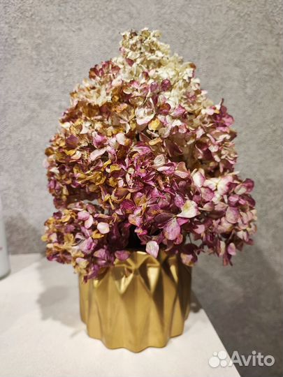 Сухоцветы в кашпо