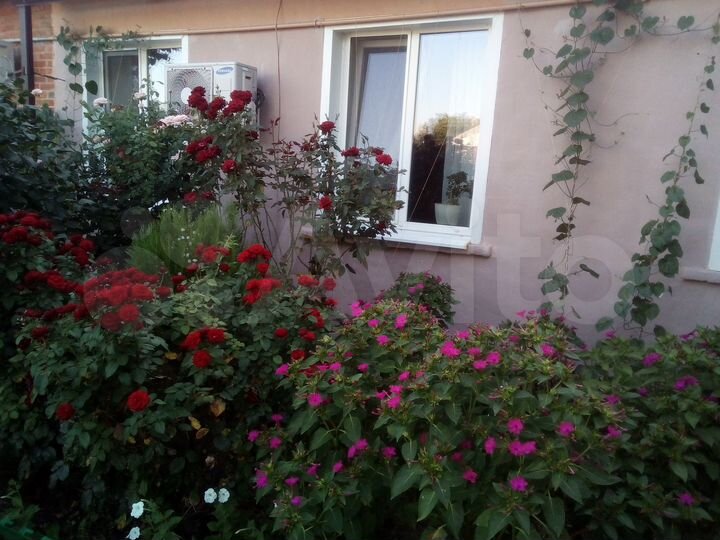 3-к. квартира, 59,3 м², 1/1 эт.