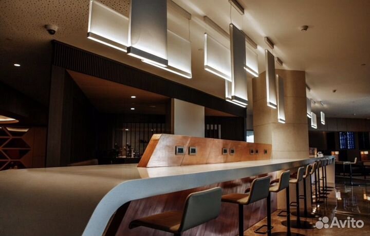 Проход бизнес зал шерементьево