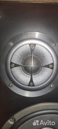 Sony SS Carbocon-4050 акустические колонки