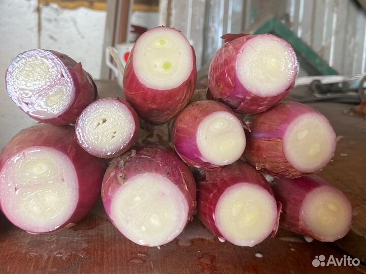 Лук на перо