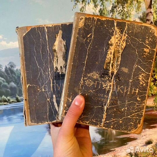 Собрание сочинений А. С. Пушкина