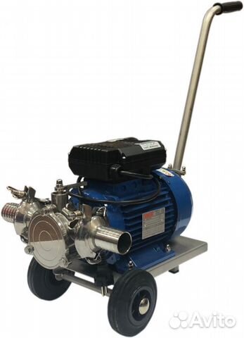 Насос для перекачки мезги (мезгонасос) Z40 Италия