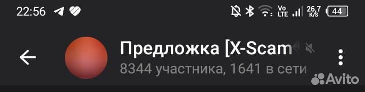 Баксы петы одежда в адопт ми