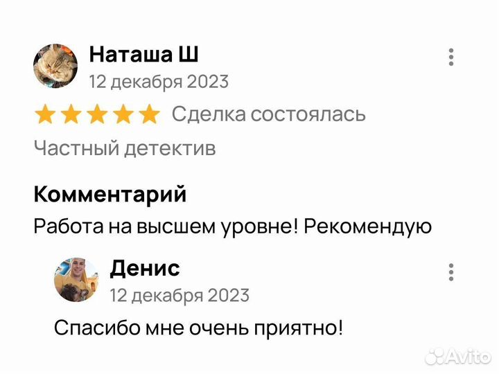 Частный детектив