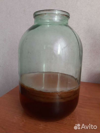 Чайный гриб