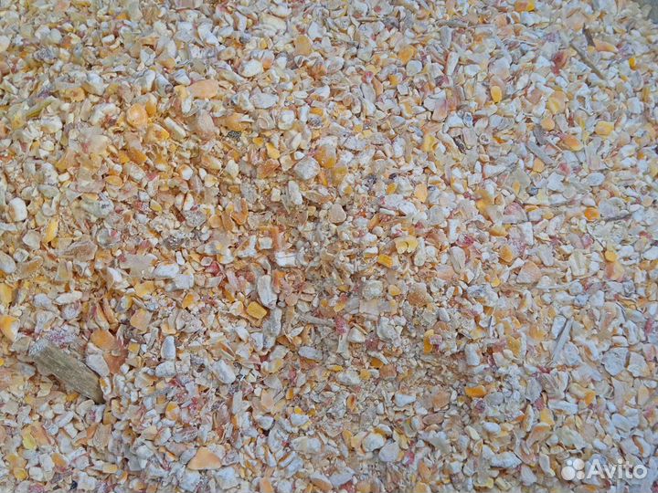 Кукуруза дробленая