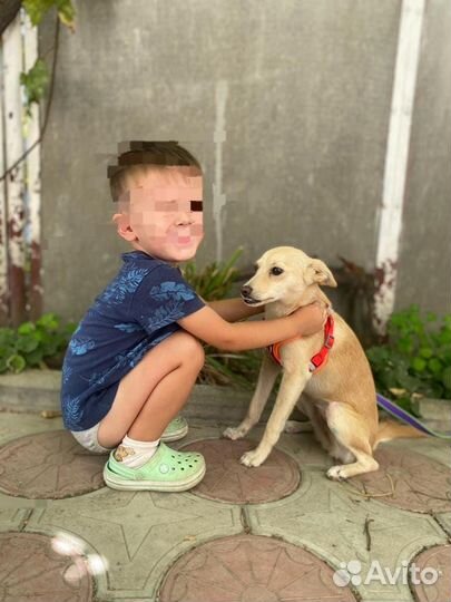 Спасите малышку