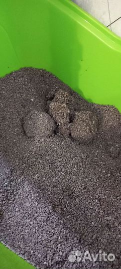 Наполнитель в кошачий туалет