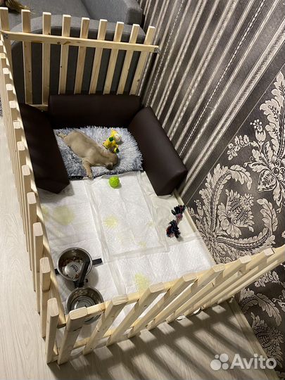 Вольер для собак