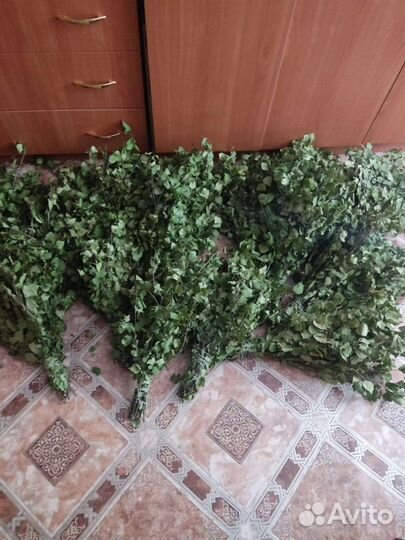 Веник берёзовый