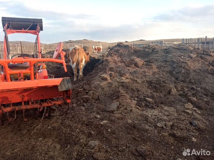 Навоз, перегной