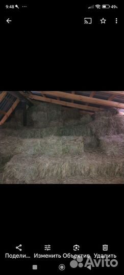 Сено в тюках