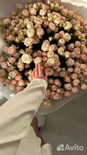 Розы кустовые