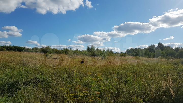 Участок 100 сот. (ИЖС)