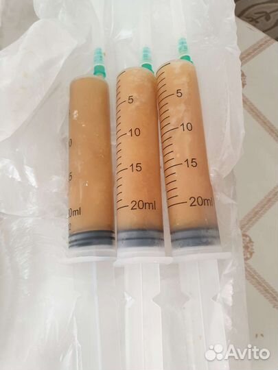 Трутневый гомогенат