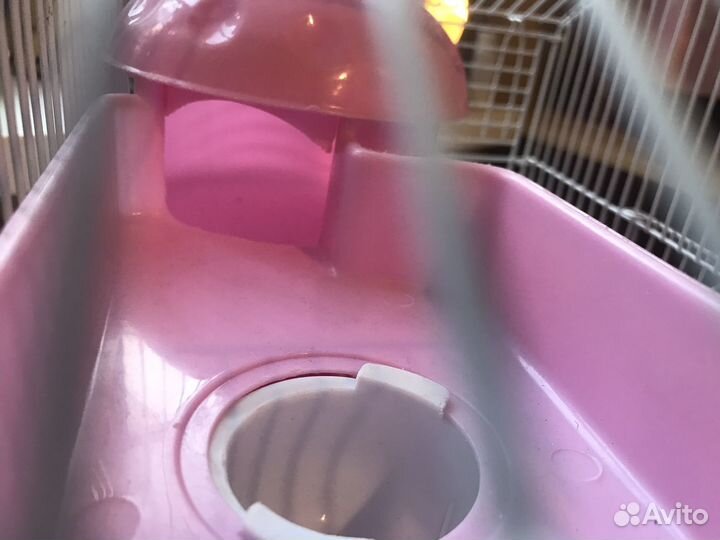 Клетка для джунгарского хомяка