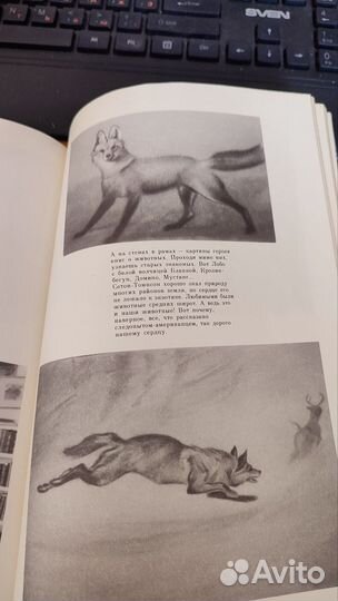 Э. Сетон-Томпсон животные герои