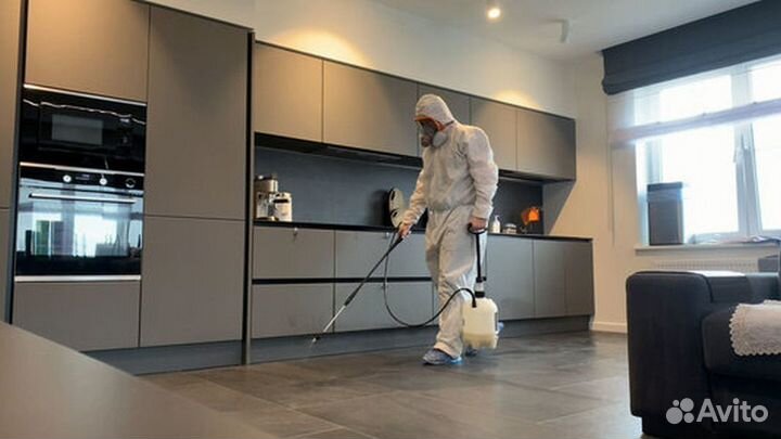 Уничтожение клопов, тараканов, крыс Дезинфекция