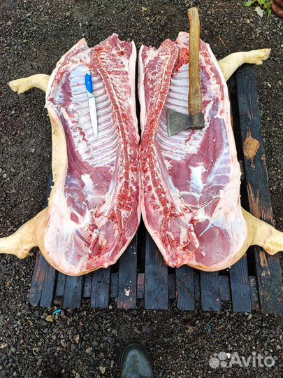 Мясо свинина домашняя
