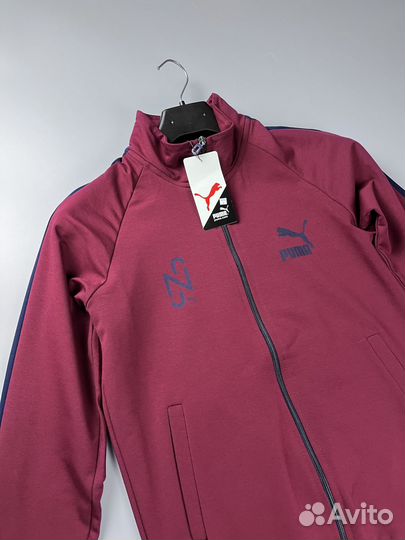 Спортивный Костюм Puma