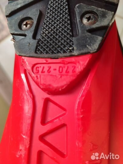 Горные лыжи и ботинки мужские