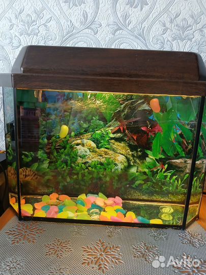Аквариум