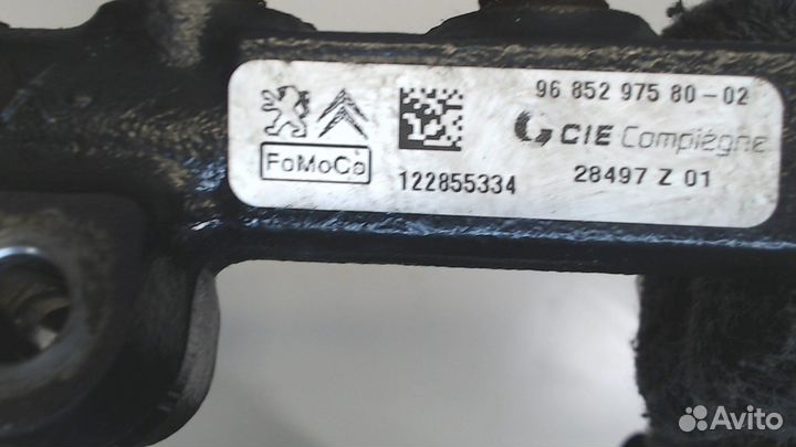 Рампа топливная Ford Fiesta 2013, 2013