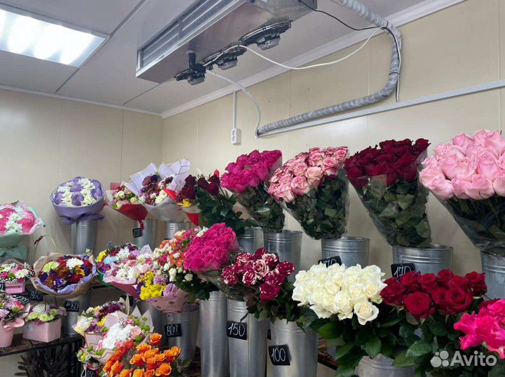 Холодильный агрегат для цветов