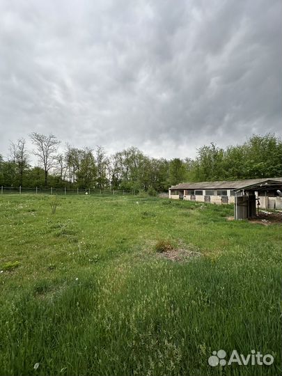 Продаю мини ферму