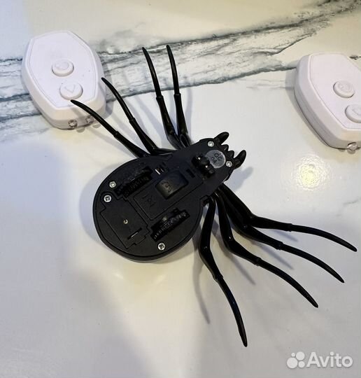 Бегающие паук и таракан на пульте