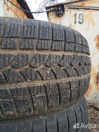 Tigar Winter 215/50 R17 95V