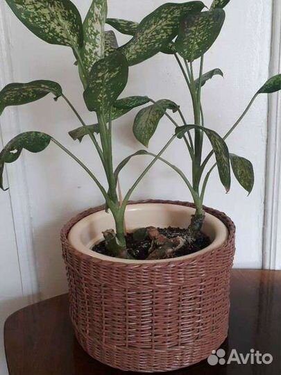 Корзина большая круглая плетеная для хранения