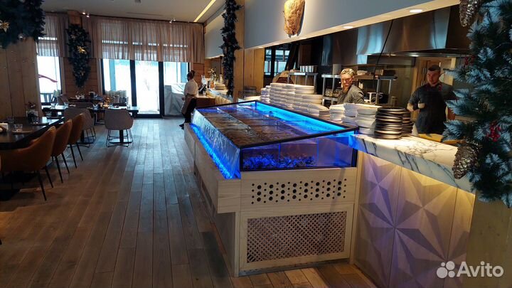 Аквариум для устриц, гребешка, краба, ежа