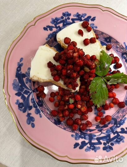 Набор из 4 тарелок Richard Ginori 1735