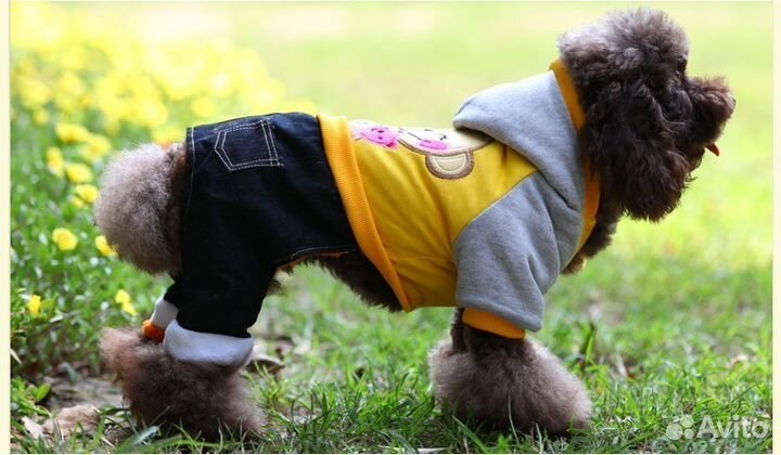 Костюмчик для собачки