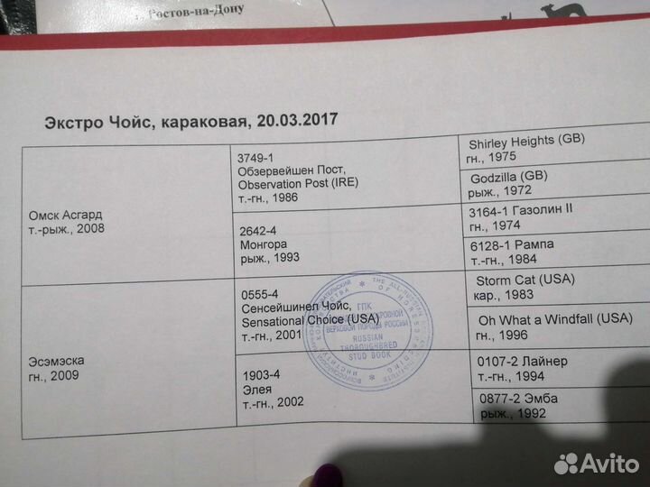 Чк производитель