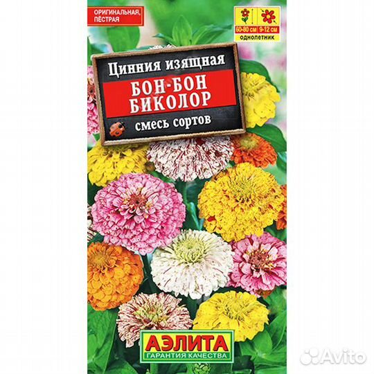 Цинния Бон-бон биколор