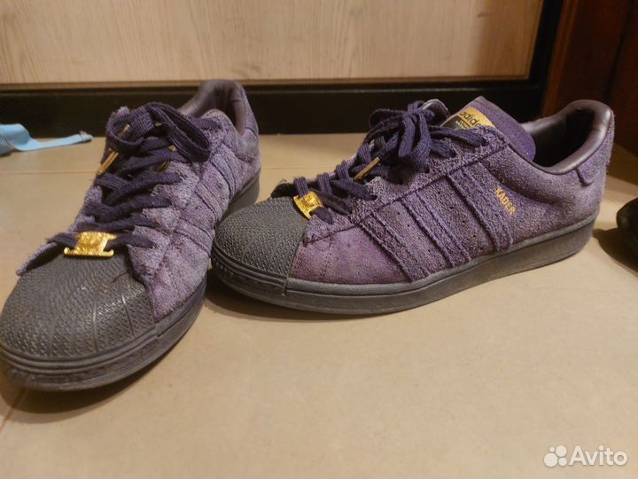 Adidas superstar kader