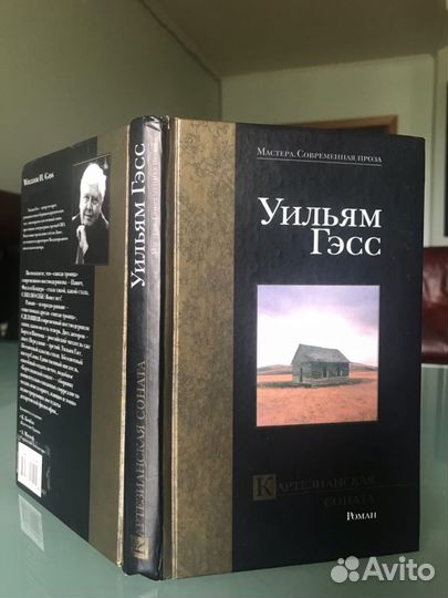 Уильям Гэсс. Картезианская соната