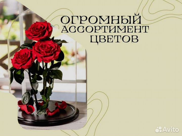 Розы в колбе на выбор