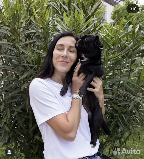 Кинолог зоопсихолог