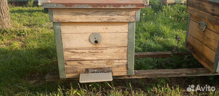 Продам ульи для пчел