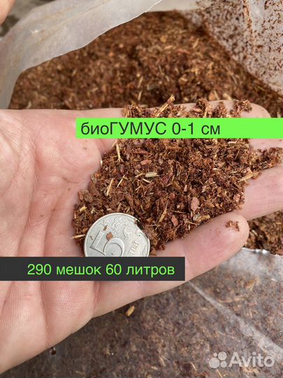 Кора лиственницы мульча