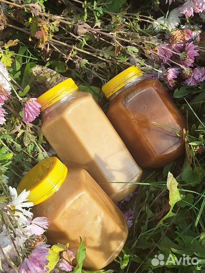 Мед, забрус, перга, прополис. Алтай