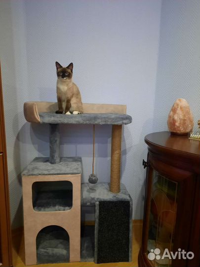 Когтеточка,домик для кошки,комплекс